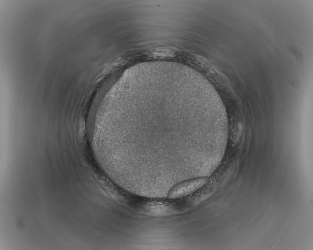 X0000112800704200910021120