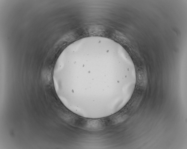 X0000112800705200910021120