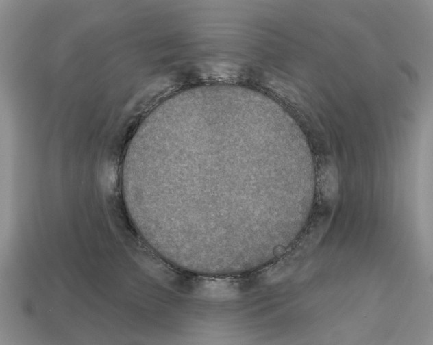 X0000112800709200910021120