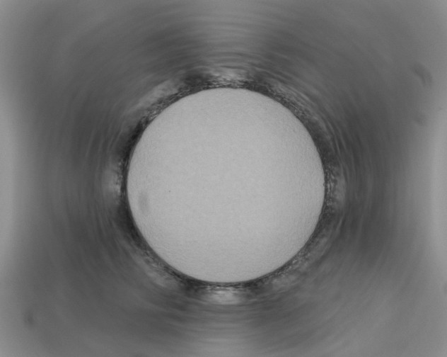 X0000112800710200910021120