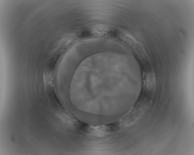 X0000112800712200910021120