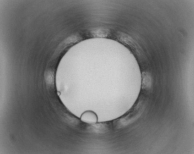 X0000112800713200910021120