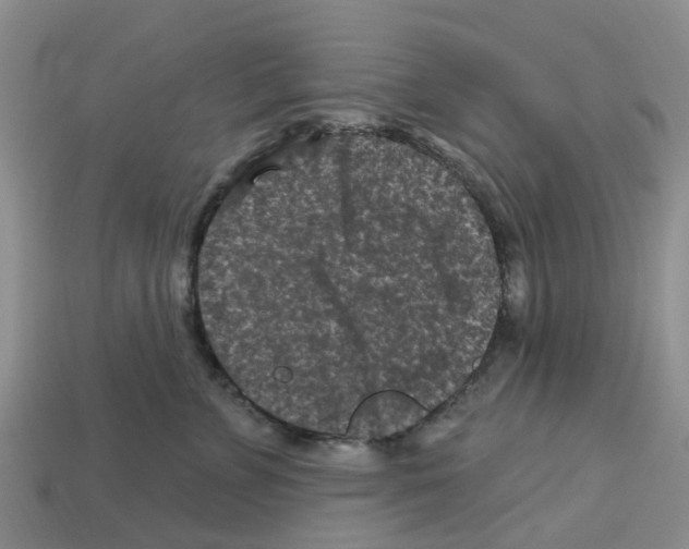 X0000112800715200910021120