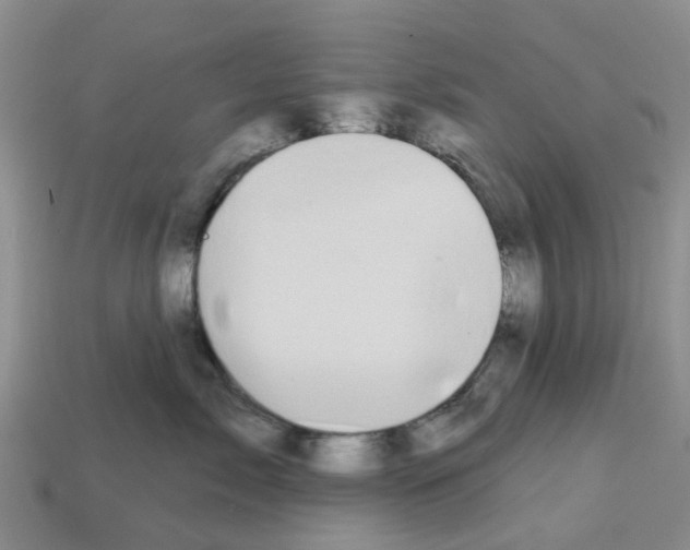 X0000112800717200910021120