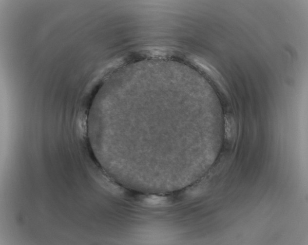 X0000112800718200910021120