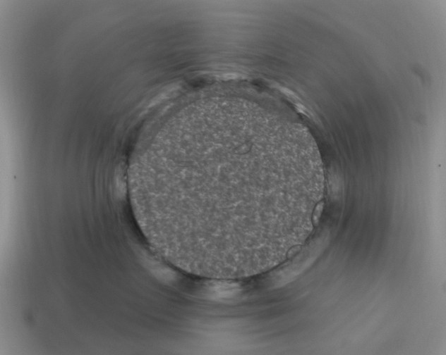 X0000112800719200910021120