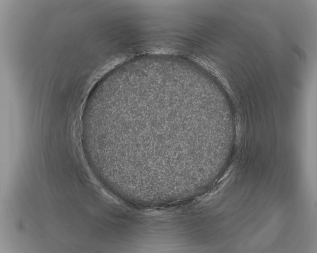 X0000112800721200910021119