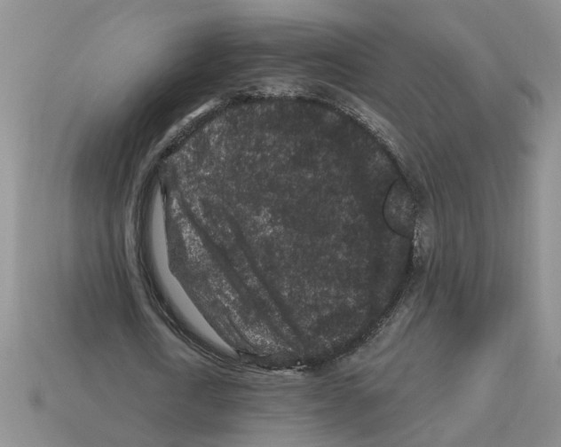 X0000112800722200910021119
