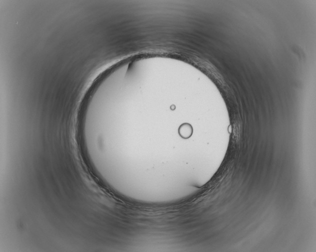 X0000112800724200910021119