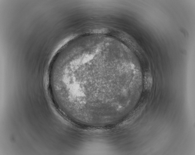 X0000112800726200910021119
