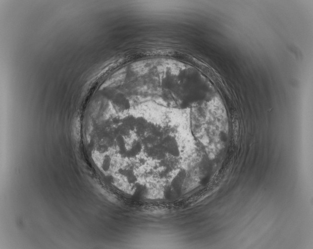 X0000112800729200910021119