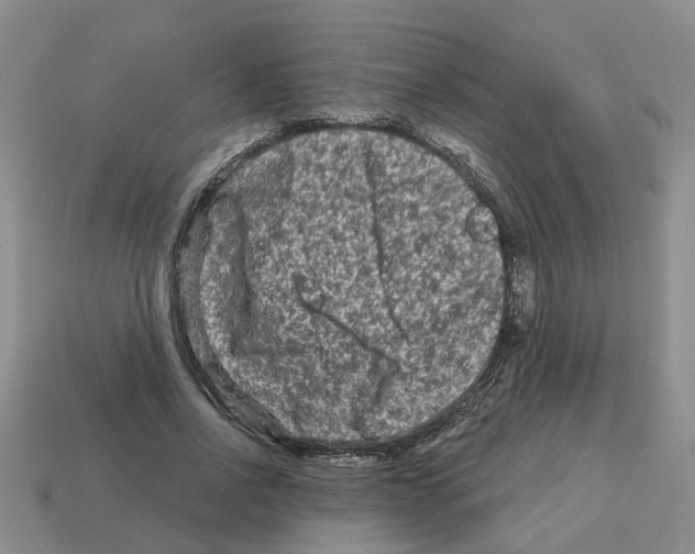 X0000112800734200910021119