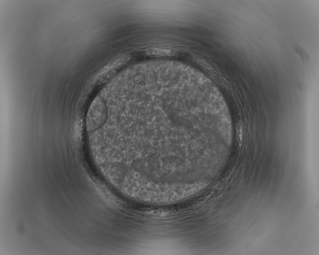 X0000112800735200910021119