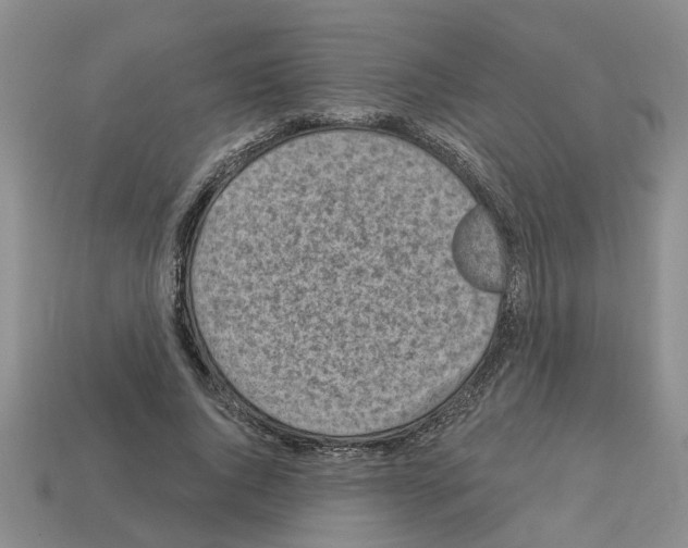 X0000112800736200910021119