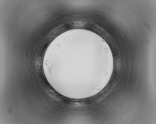 X0000112800737200910021119