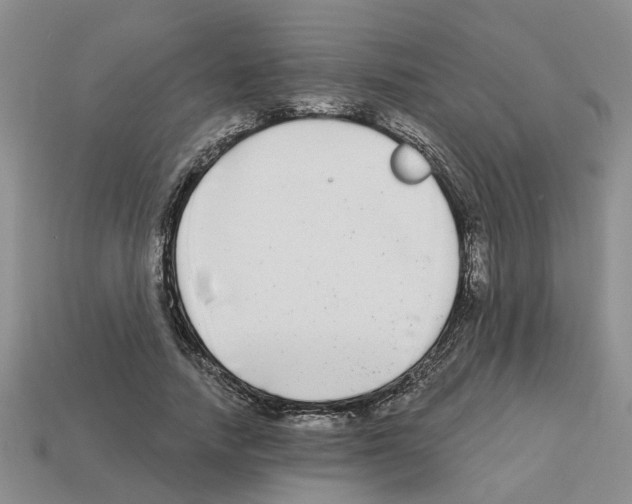 X0000112800738200910021119