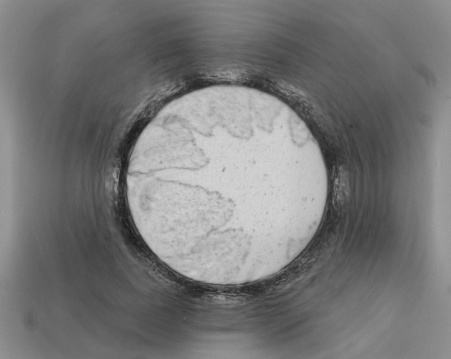 X0000112800739200910021119