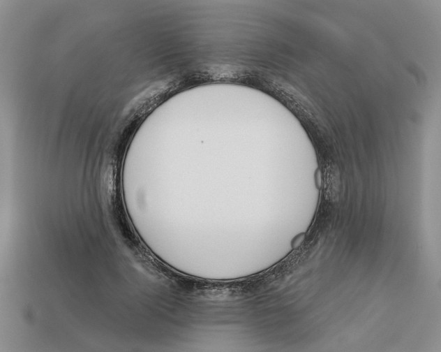 X0000112800740200910021119