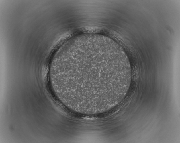 X0000112800742200910021119