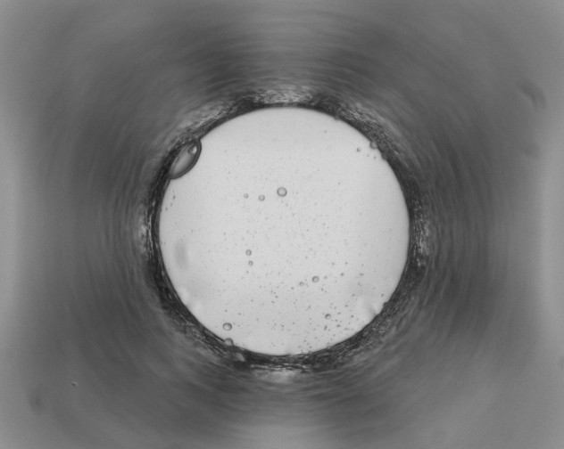 X0000112800743200910021120