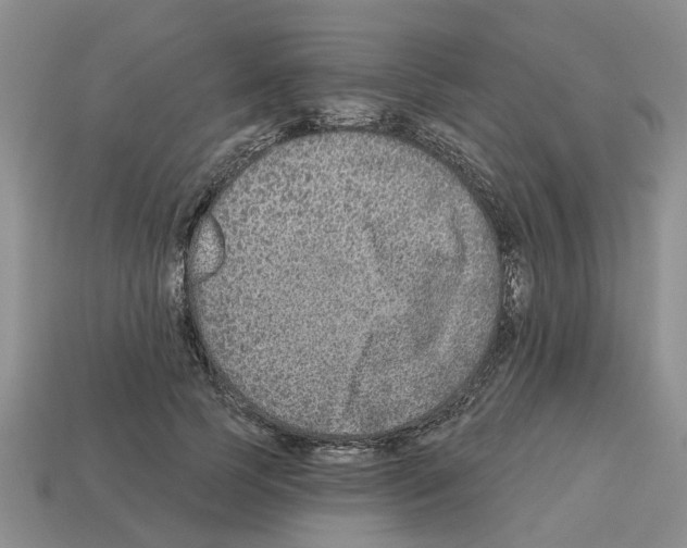 X0000112800745200910021120