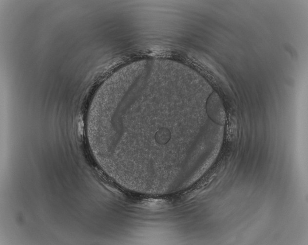 X0000112800748200910021120
