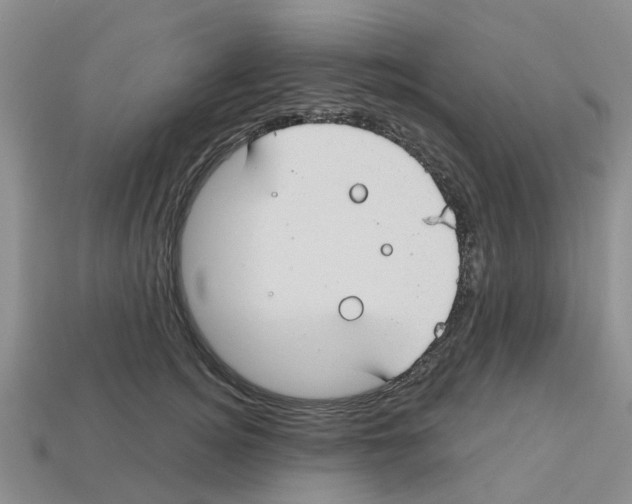 X0000112800756200910021120