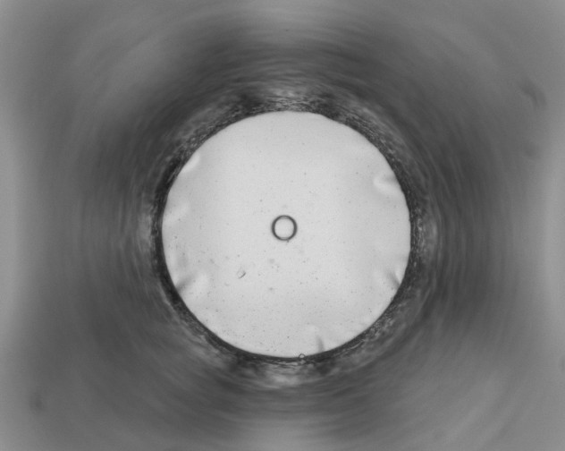X0000112800757200910021120