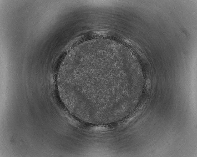 X0000112800759200910021120