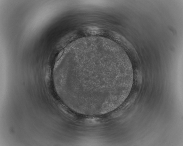 X0000112800760200910021120