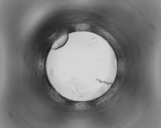X0000112800761200910021120