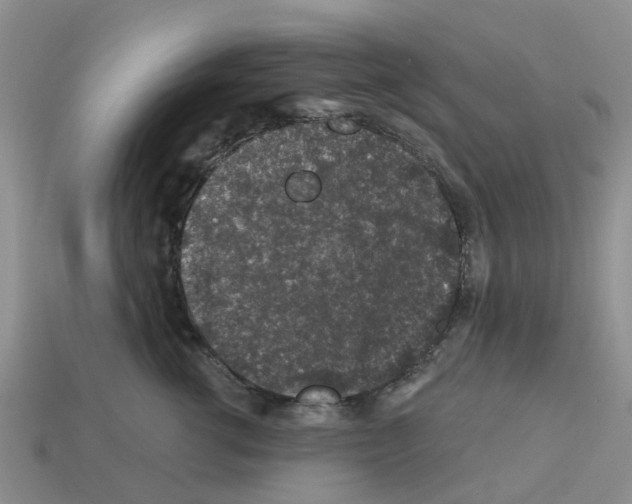 X0000112800762200910021120