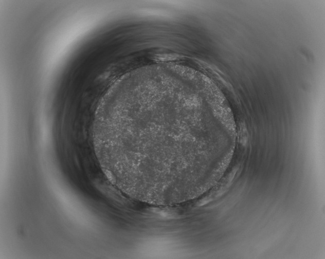 X0000112800763200910021120