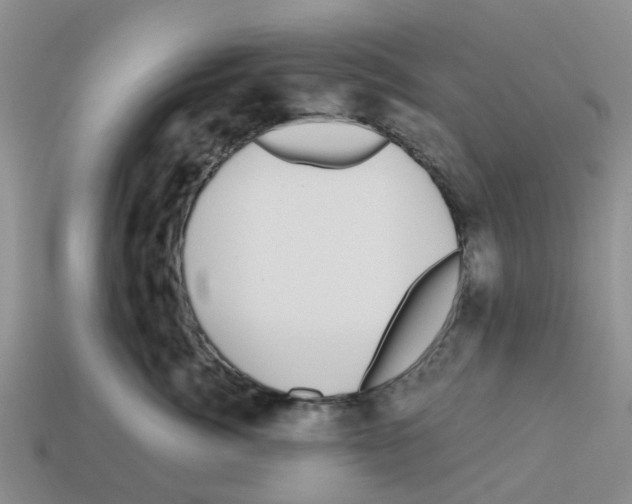 X0000112800764200910021120