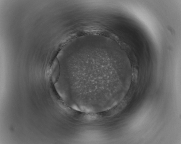 X0000112800767200910021120