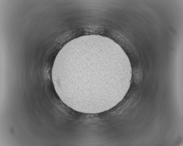 X0000112800770200910021119