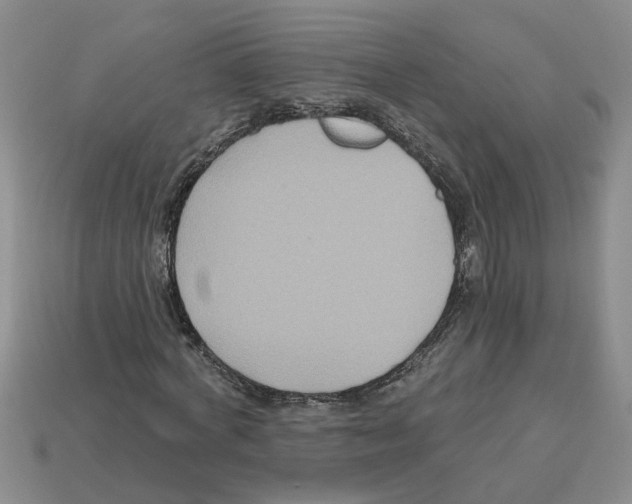 X0000112800772200910021119