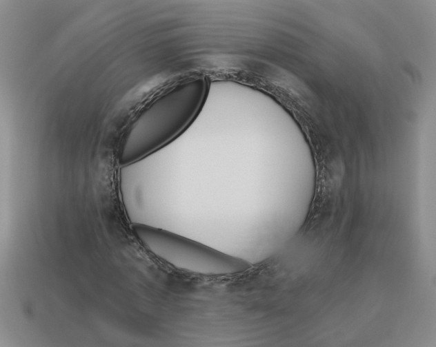 X0000112800773200910021119