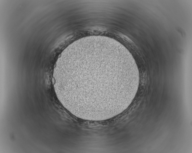 X0000112800774200910021119