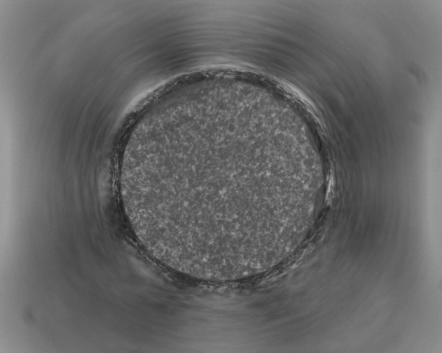 X0000112800775200910021119
