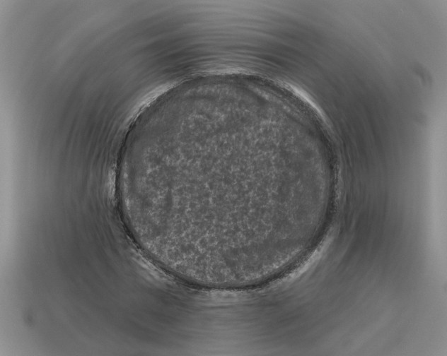 X0000112800777200910021119