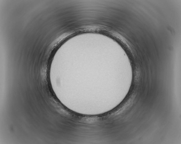 X0000112800778200910021119