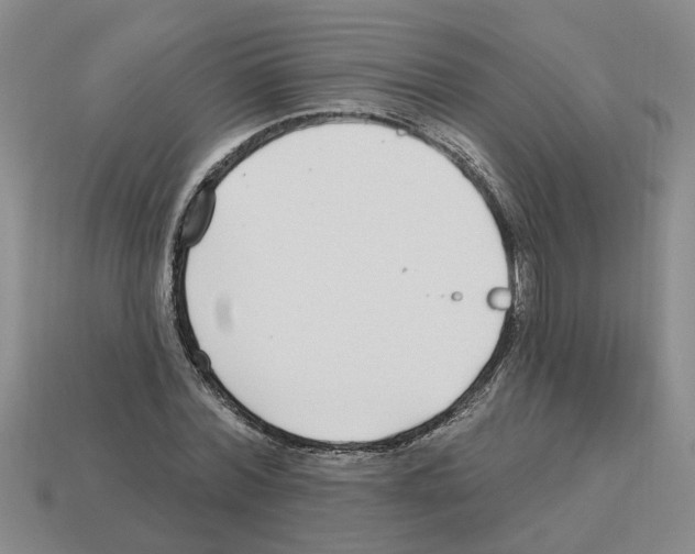 X0000112800780200910021119