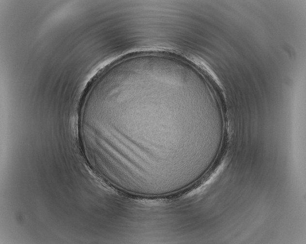 X0000112800781200910021119