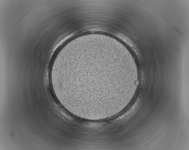 X0000112800782200910021119
