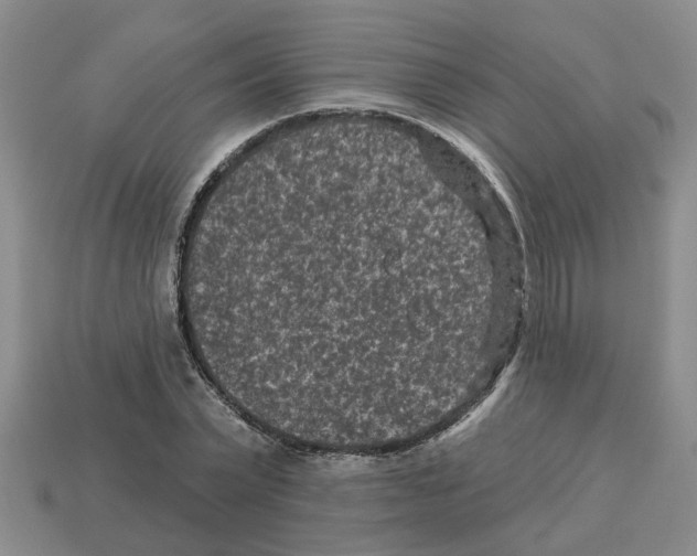 X0000112800783200910021119
