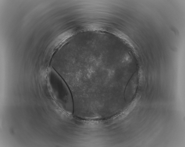 X0000112800785200910021119