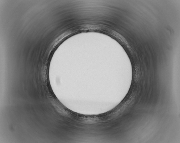 X0000112800786200910021119