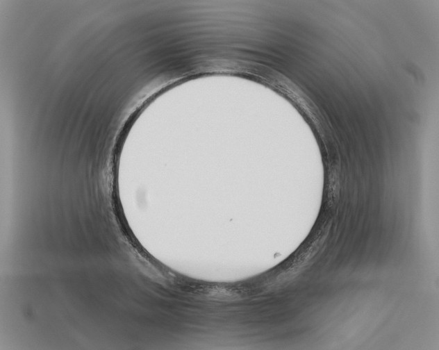 X0000112800787200910021119