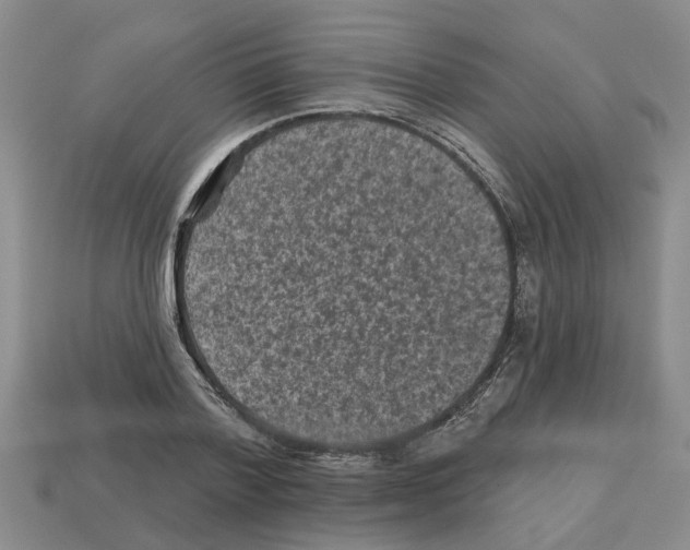 X0000112800788200910021119
